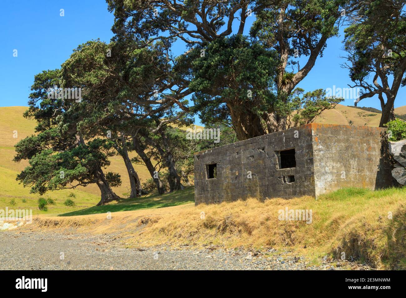 Un vecchio bunker della seconda guerra mondiale a Fletcher Bay sulla remota punta settentrionale della penisola di Coromandel, Nuova Zelanda Foto Stock