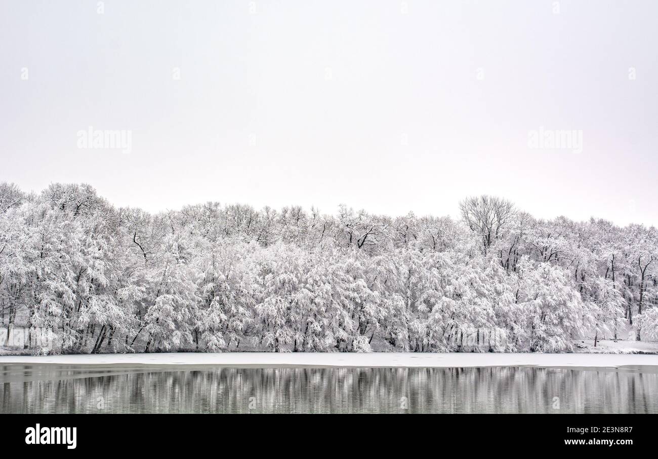 Lago e foresta in inverno con neve e ghiaccio, tipico paesaggio invernale europeo Foto Stock