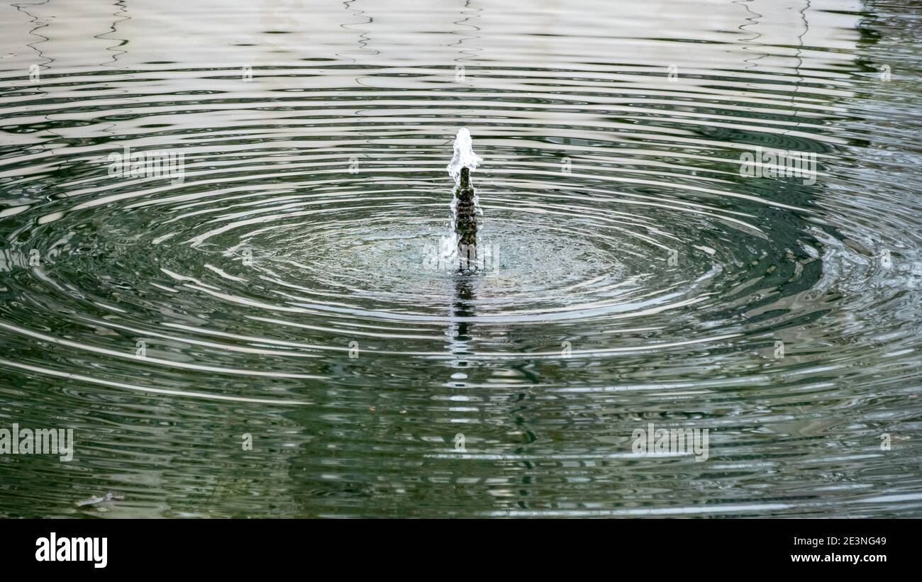 Fontana in stagno Foto Stock