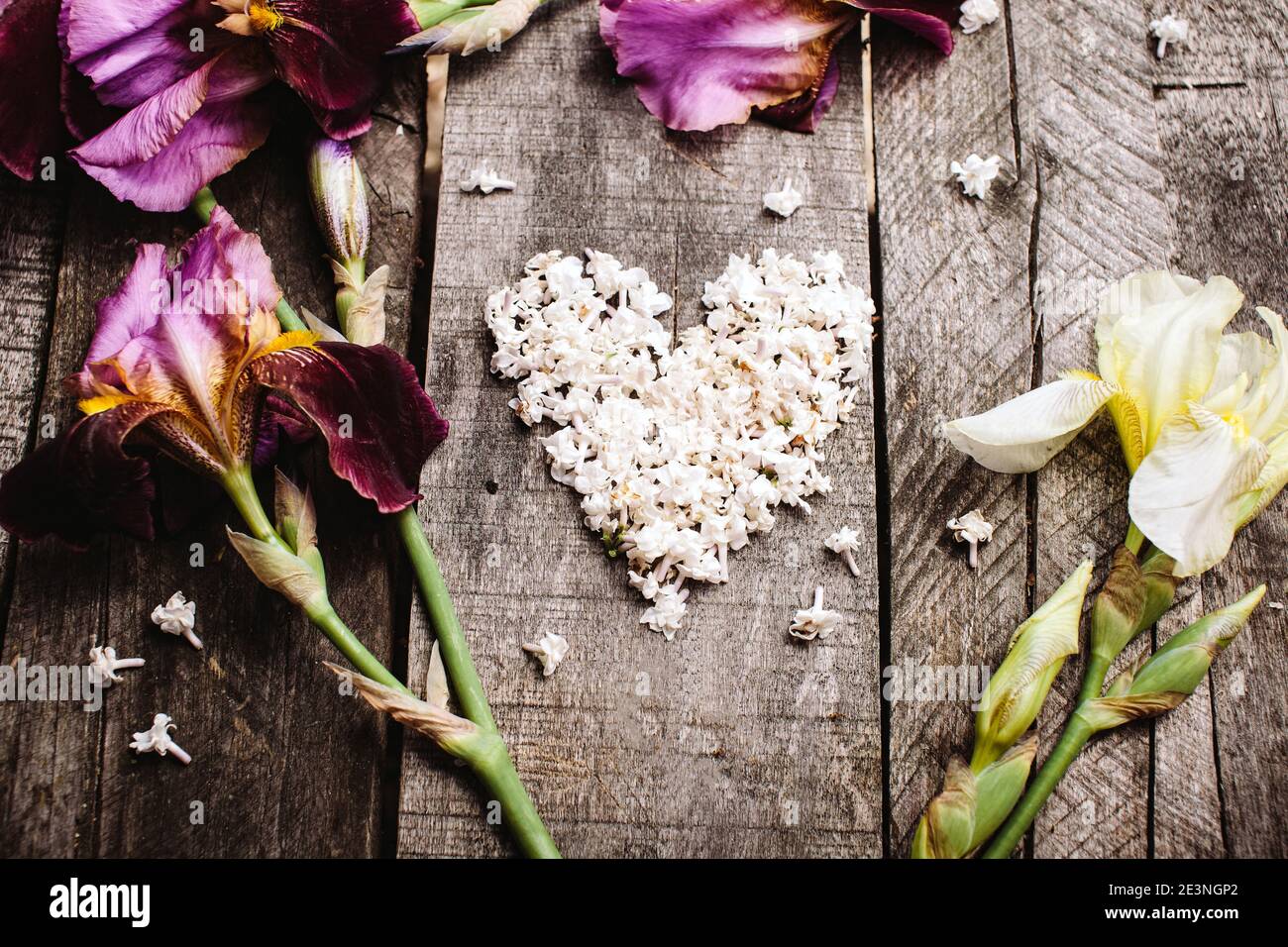 poster dei fiori di san valentino Foto Stock