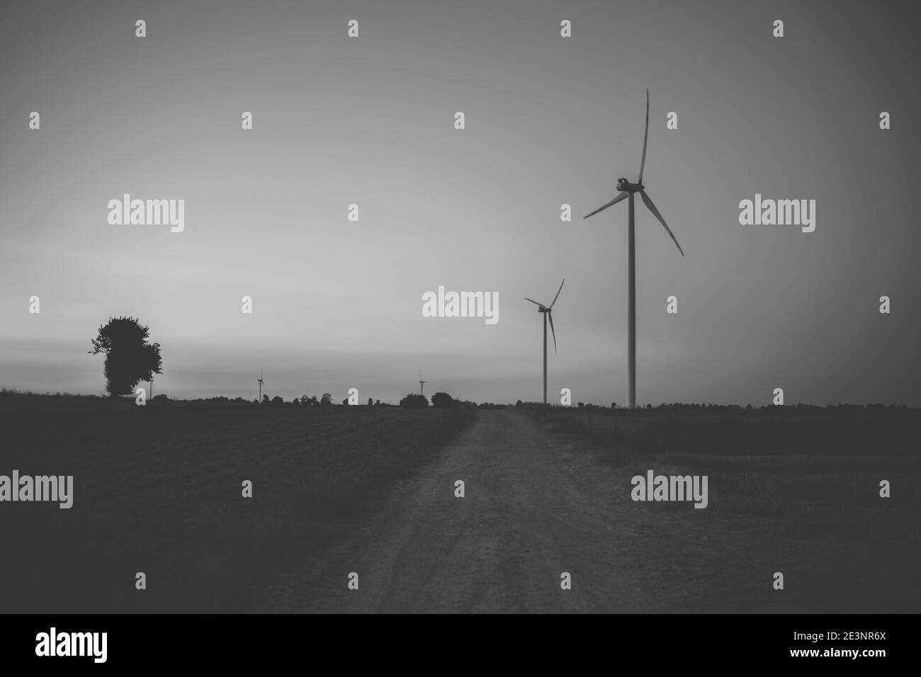 turbine eoliche nel campo durante la fine della giornata Foto Stock