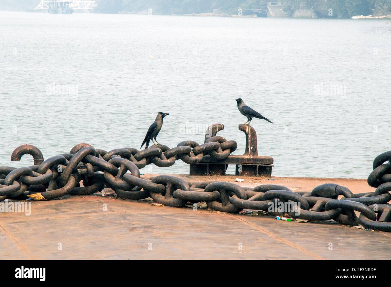 due corvi seduti su ganga ghat kolkata fotografia astratta Foto Stock