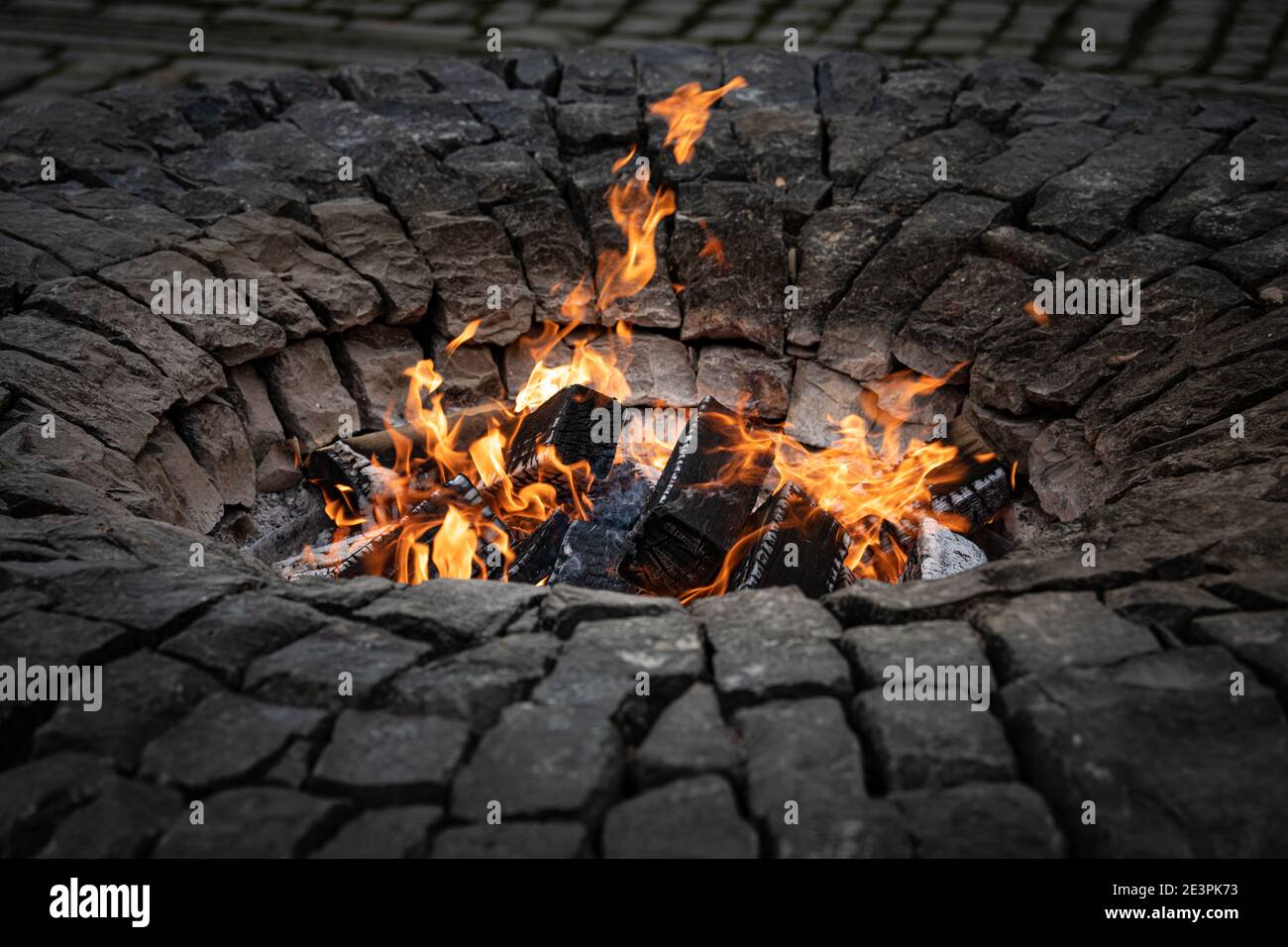 Fire Pit - tronchi che bruciano Foto Stock