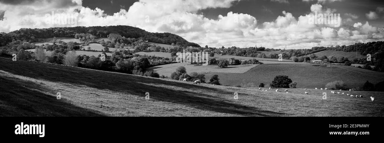 Intorno al Regno Unito - viste di Abberley Hill, Worcestershire, Regno Unito, catturato in bianco e nero Foto Stock