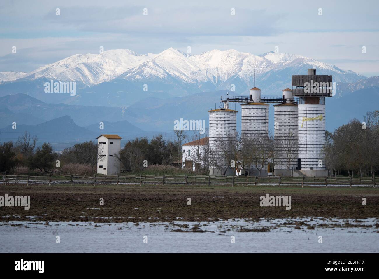 Aiguamolls de l'Empordà, Alt Empordà, provincia di Girona, Catalogna, Spagna Foto Stock
