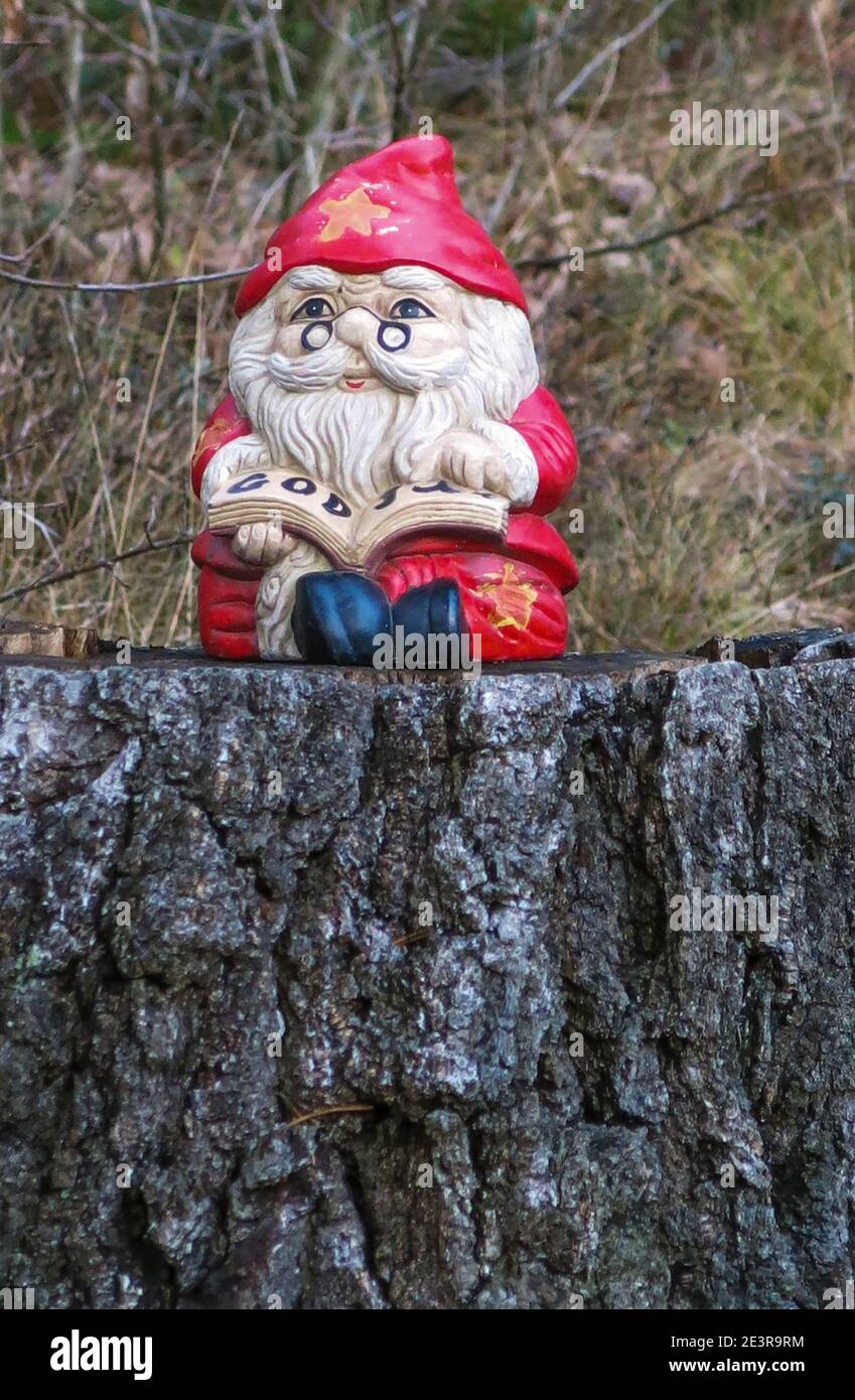 PIXIES prima di Natale sul sentiero per i bambini Foto Stock