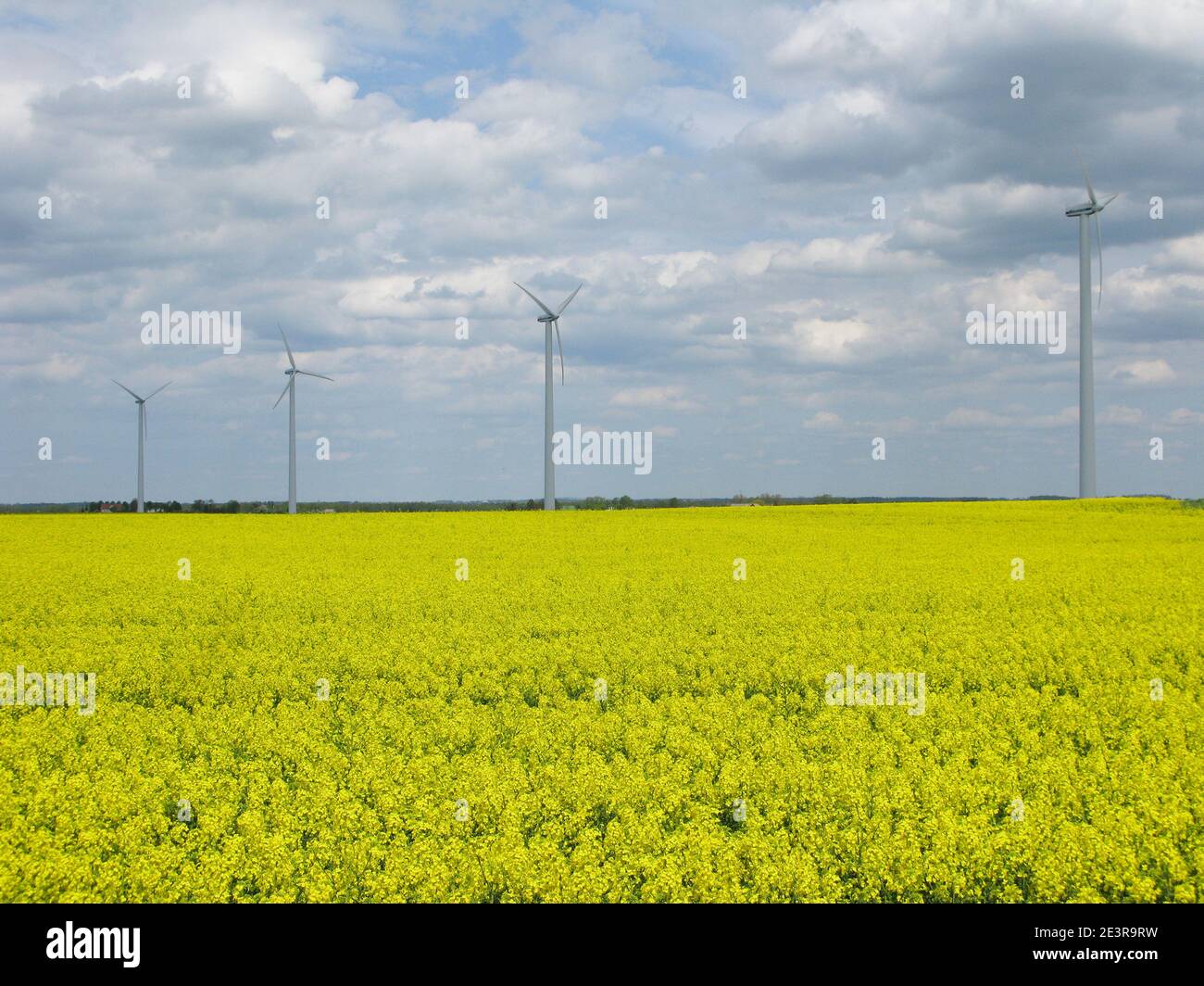 FONTI DI ENERGIA energia energia eolica e colza per olio Foto Stock