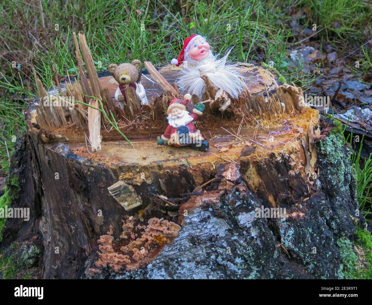 PIXIES prima di Natale sul sentiero per i bambini Foto Stock