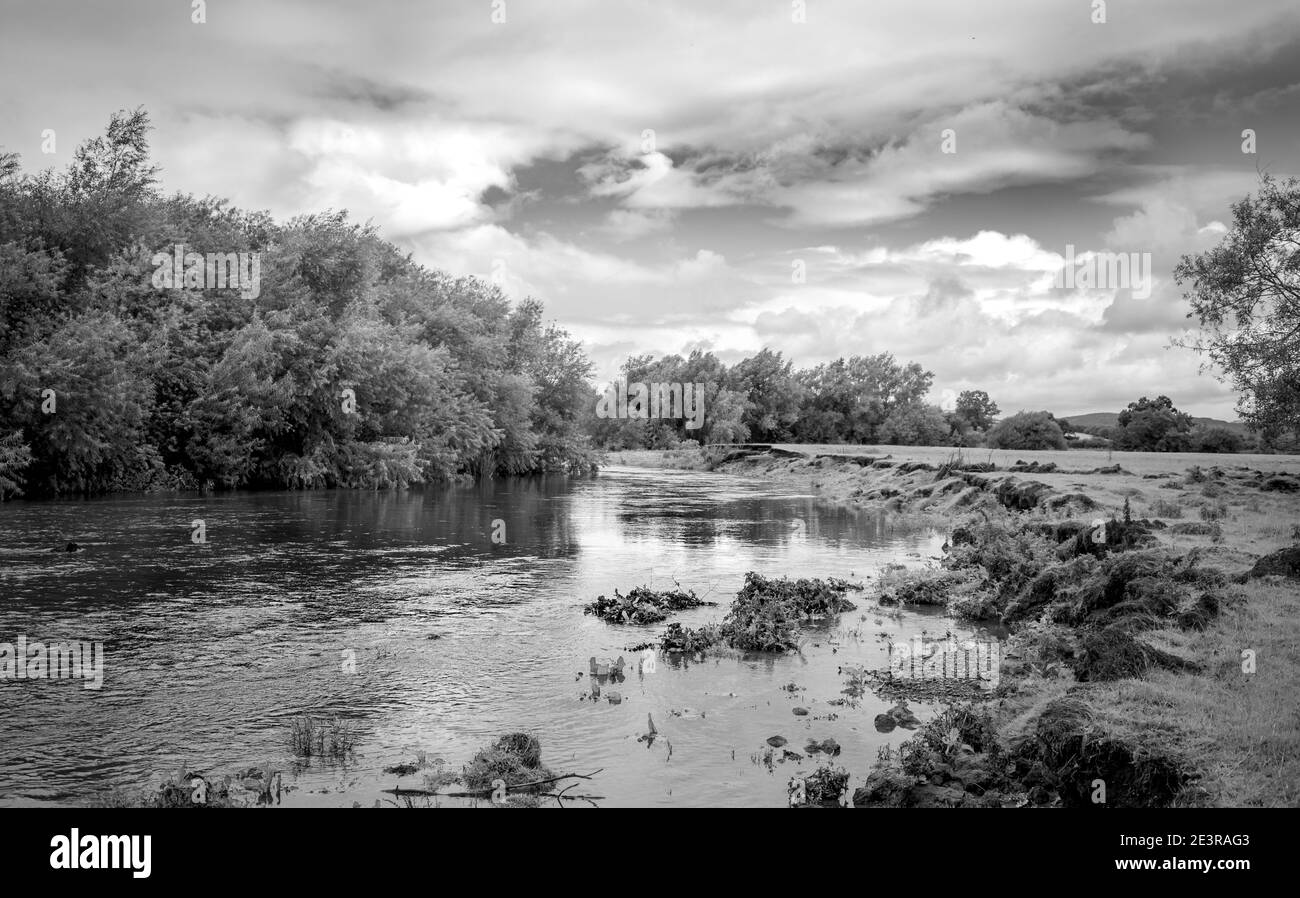 River Teme, Shropshire in estate. Questo fiume alimenta la città mercato di Ludlow. Foto Stock