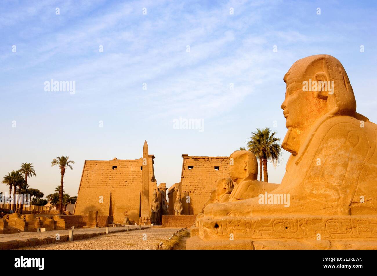 Nord Africa Egitto Luxor sul fiume Nilo Tempio di Luxor il viale delle Sfingi, cielo blu giorno, sfinge Foto Stock