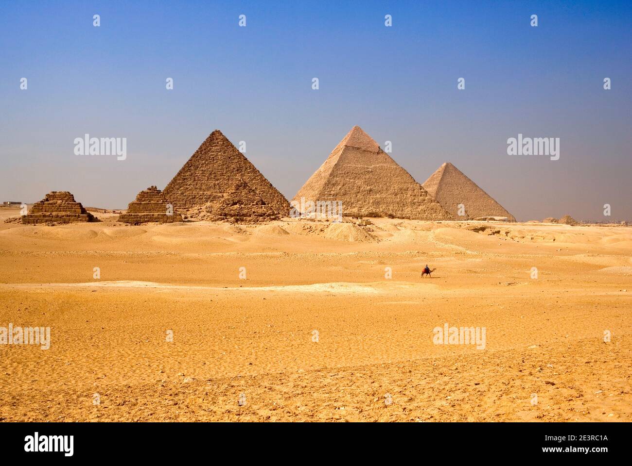 Nord Africa Egitto Cairo Giza uomo di città in sella a cammello di fronte alle piramidi d'Egitto nel paesaggio desertico piramidi cielo blu della città di giza Foto Stock