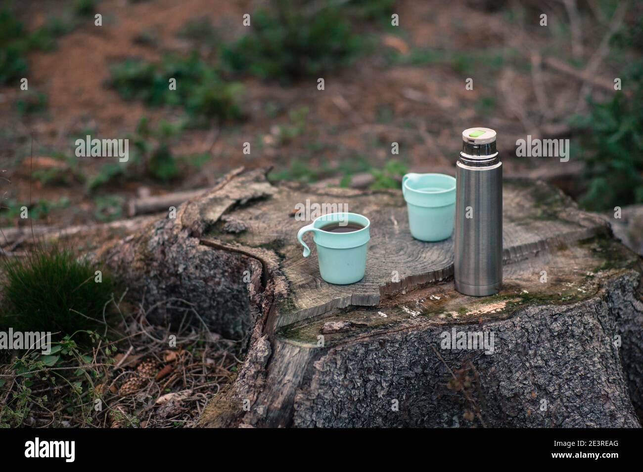Un thermos con tè e due tazze all'esterno su un albero stubb Foto Stock