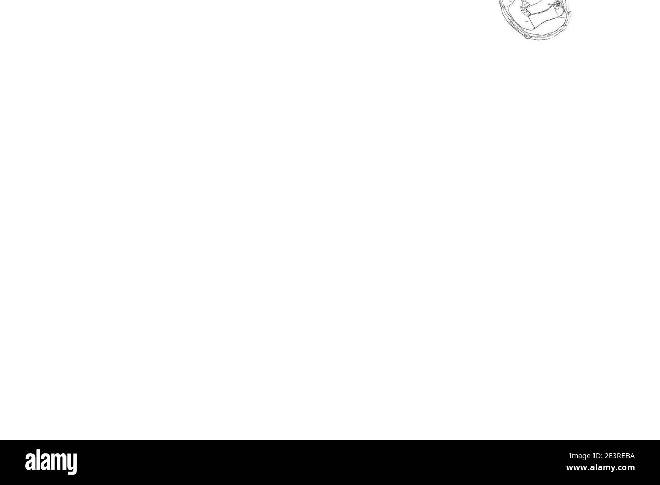 Mappa del Berwickshire foglio 230, Ordnance Survey, 1857-1862. Foto Stock