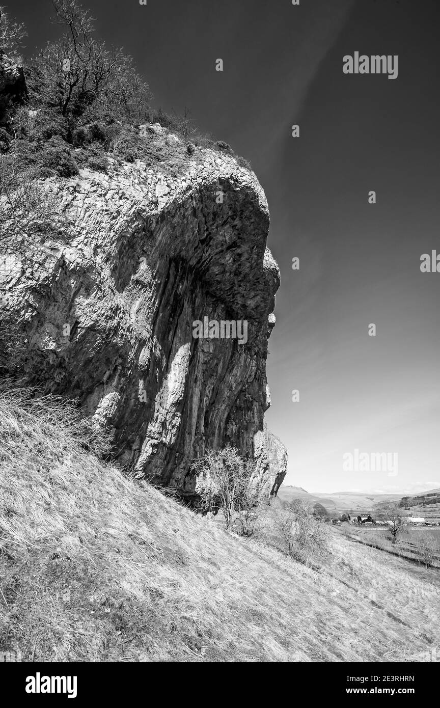 Favoloso scenario primaverile in bianco e nero delle scogliere calcaree sovrastanti Di Kilnsey Crag una delle caratteristiche geologiche famose in Lo Yorkshire Dales vicino ai villaggi di Kilnsey e Kettlewell Foto Stock