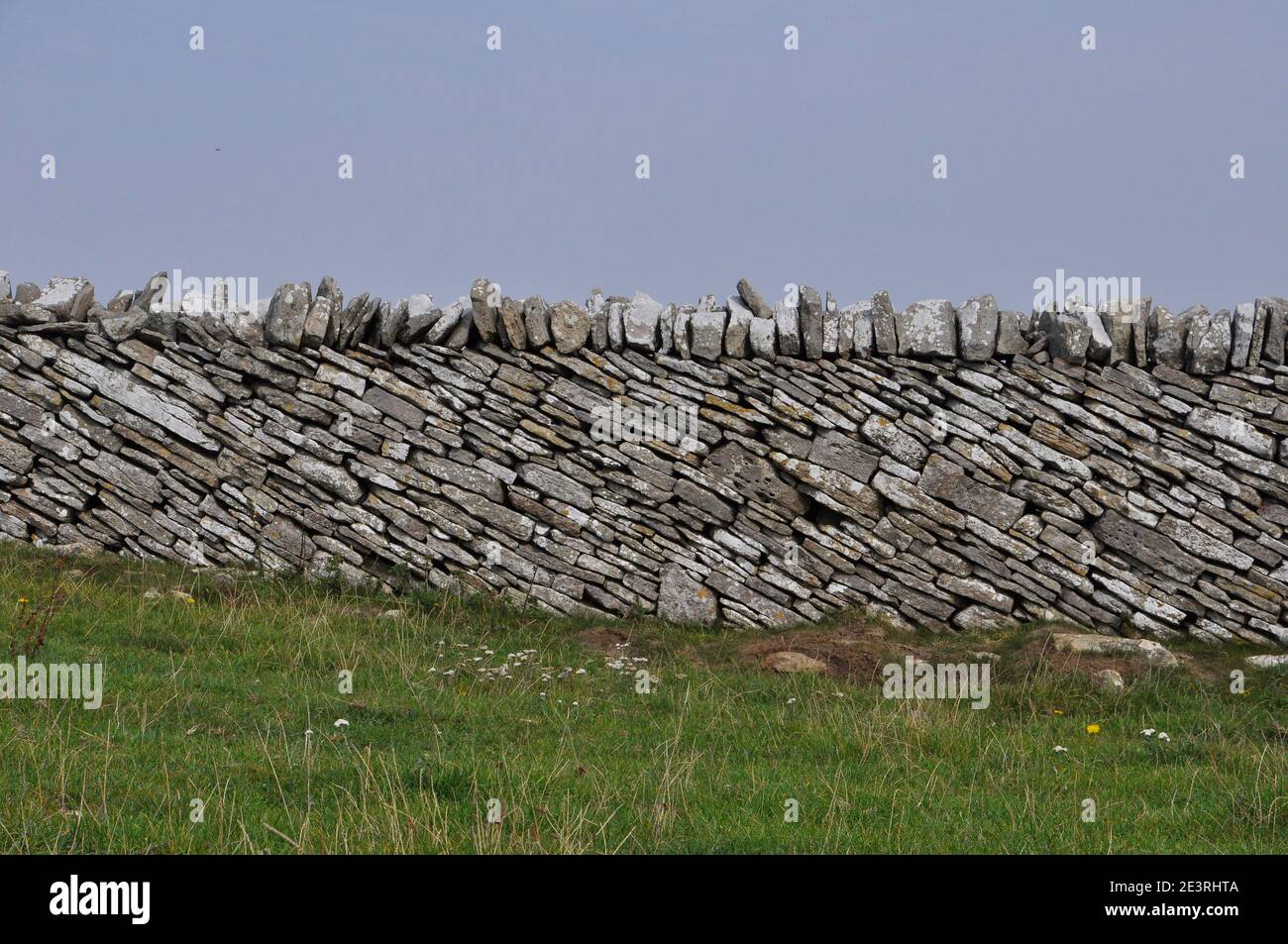 Asciugare la parete in pietra con corsi in pendenza e rabboccato con verticale di pietre di tappatura sull'Isola di Purbeck, Dorset. Ruvide pareti calcaree divide i campi costiere. Foto Stock