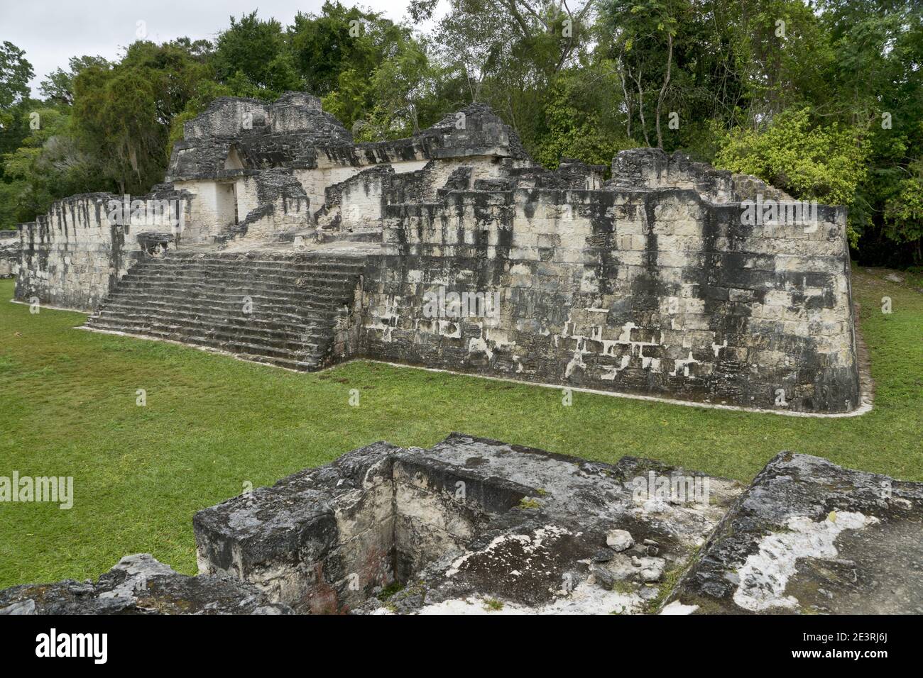 Tikal, Guatemala, America Centrale: Parco Nazionale, Patrimonio Mondiale dell'UNESCO. Rovine Maya/tempio/piramide Foto Stock
