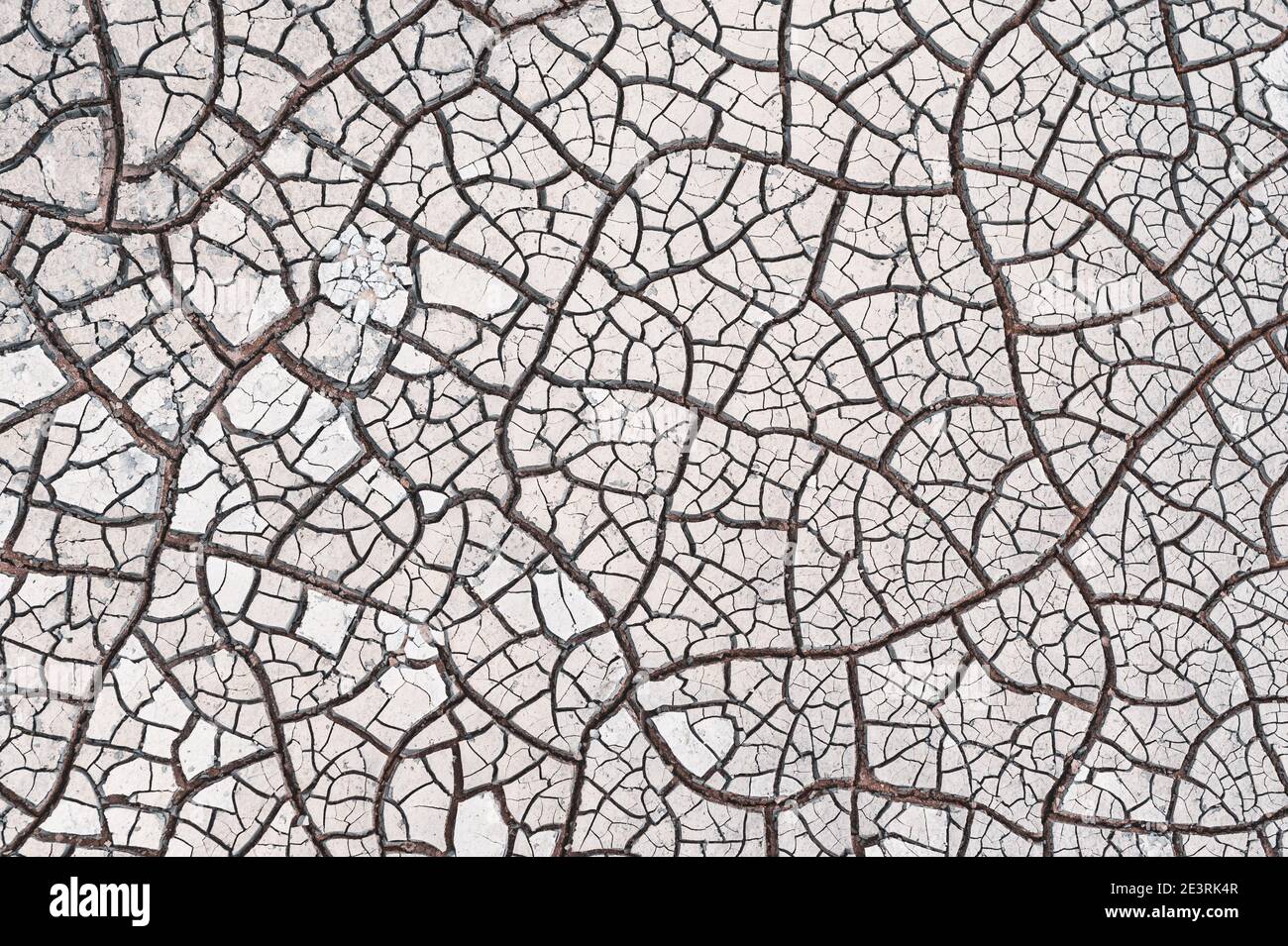 Tessuto di fango essiccato. Islanda Foto Stock