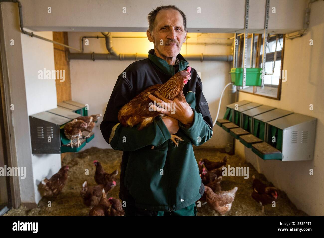 Karl Heinz Degen 70, qui che lavora nella gabbia di pollo, vive nella casa senior della fattoria di Eiffel a Marienrachdorf, in Rheinland-Pfalz Germania, dove gli anziani possono anche entrare in contatto con gli animali o addirittura lavorare nella fattoria stessa. Foto Stock