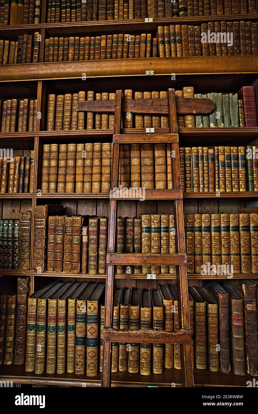 Libreria Vintage con vecchi scaffali di libri antichi e una scaletta di legno. Foto Stock