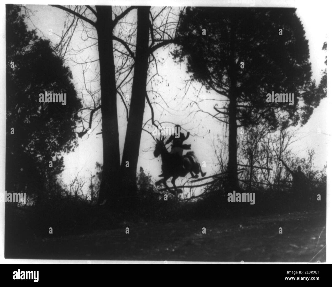 Uomo a cavallo jumping recinzione in fox hunt in Virginia Foto Stock