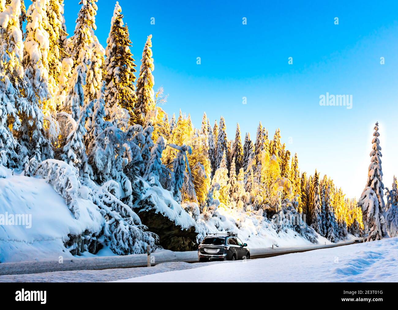 Guida su una strada ghiacciata che attraversa una foresta innevata. Foto Stock