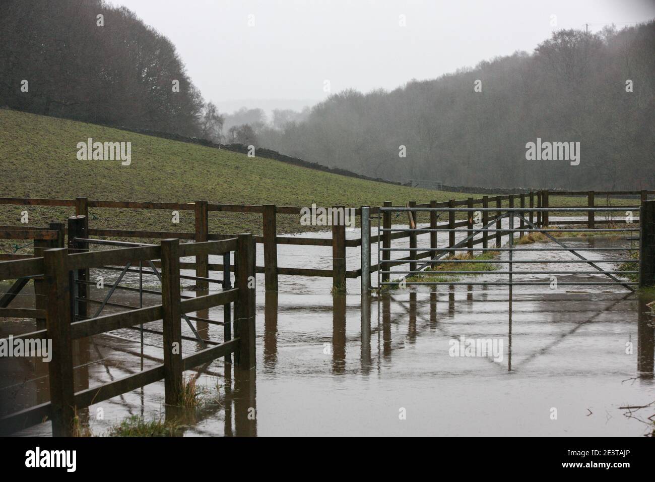 Holmfirth, Regno Unito. 20 gennaio 2021. Vista su un campo allagato nello Yorkshire occidentale. Alcune parti del Regno Unito, tra cui il South Yorkshire e la Greater Manchester, sono allertate dal momento che Storm Christoph porta piogge pesanti, che si prevede causeranno inondazioni e sconvolgimenti. Credit: SOPA Images Limited/Alamy Live News Foto Stock