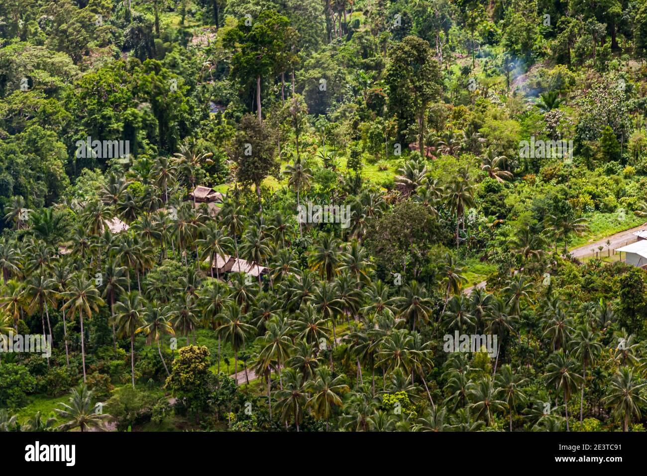 Vista aerea su Bougainville, Papua Nuova Guinea Foto Stock