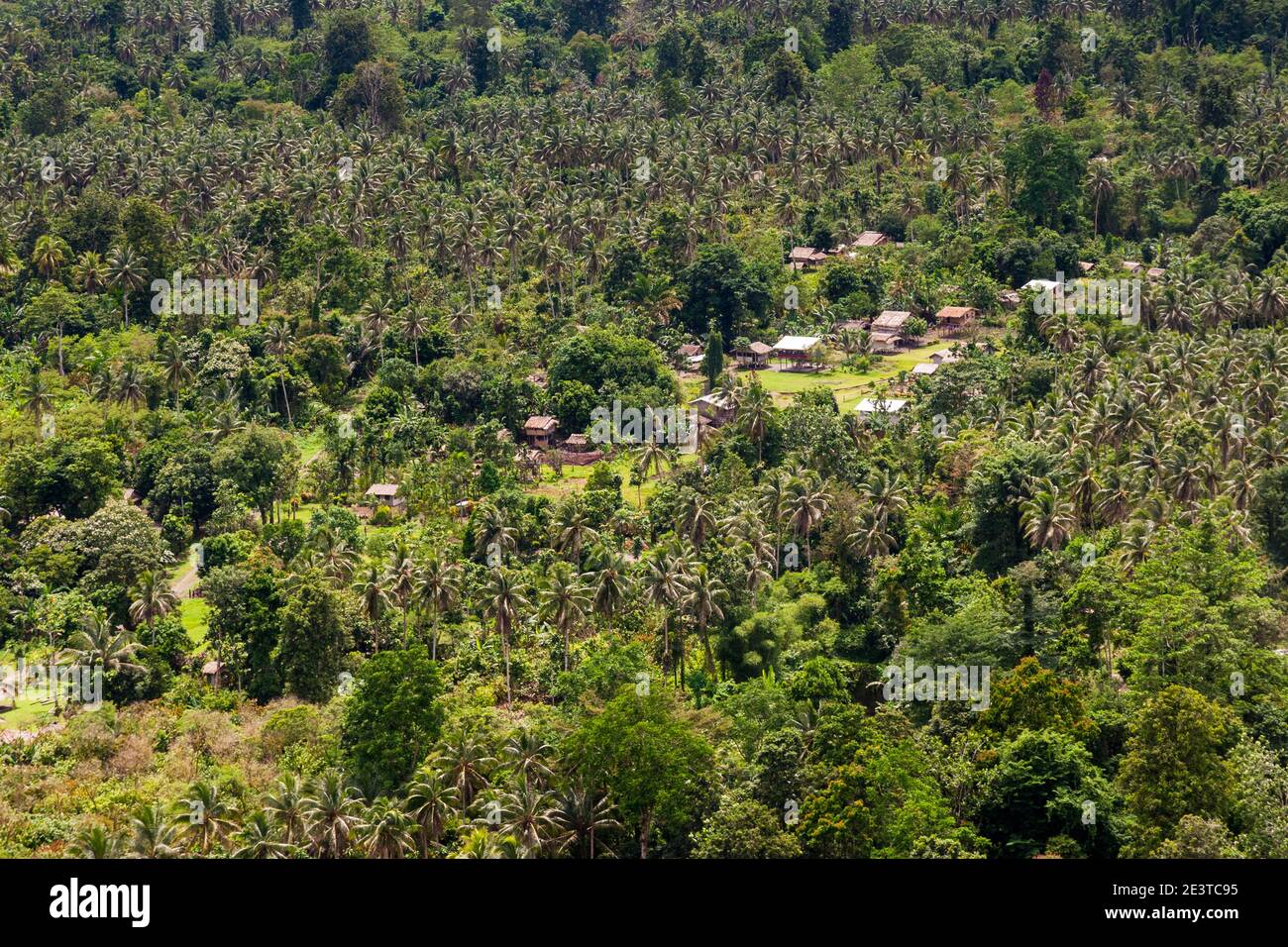 Vista aerea su Bougainville, Papua Nuova Guinea Foto Stock