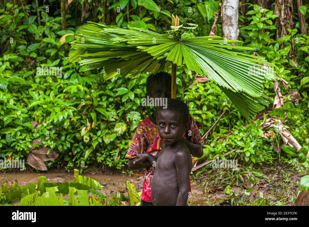 Due ragazzi con ombrelloni da pioggia fatti in proprio nella giungla di Bougainville Foto Stock