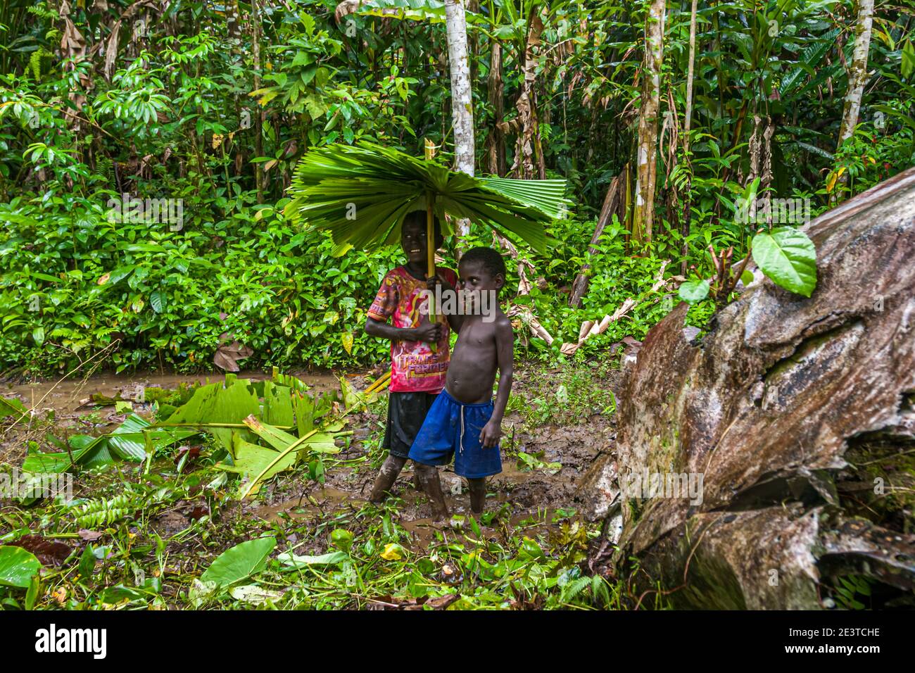 Due ragazzi con ombrelloni da pioggia fatti in proprio nella giungla di Bougainville Foto Stock