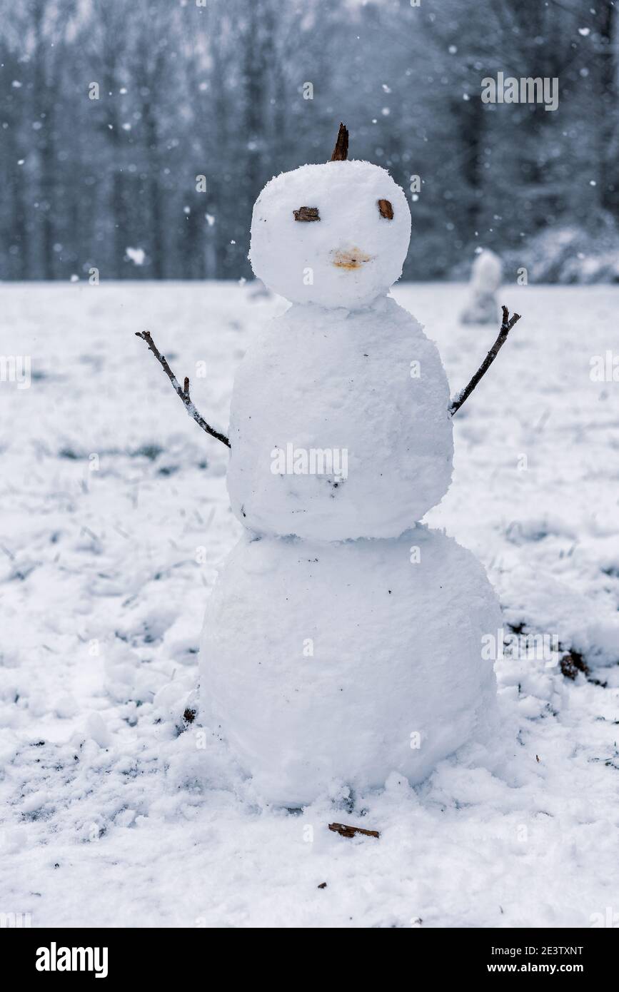 Snowman nel paesaggio invernale innevato Foto Stock