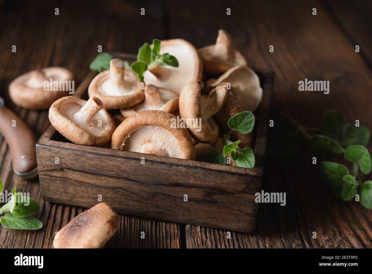 Un mucchio di immunità che aumenta i funghi Shiitake freschi in una ciotola su sfondo rustico in legno Foto Stock