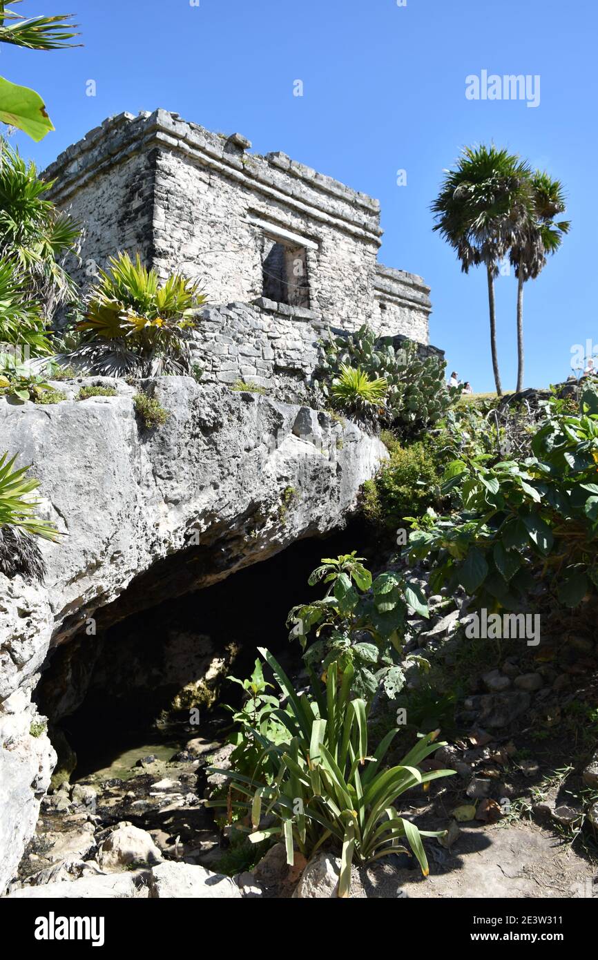 Fionda in una roccia sotto la Casa del Cenote a Tulum, Yucatan, Messico  Foto stock - Alamy