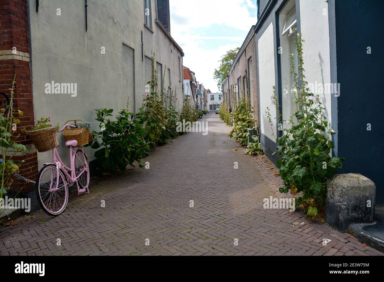 Tipica Olanda - una bicicletta rosa si appoggia contro un muro in una strada stalla con un sacco di piante verdi su le case Foto Stock