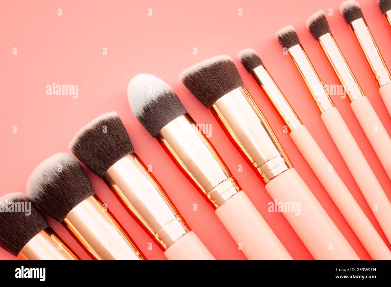Moda femminile e cosmetici, prodotti di bellezza e trucco scuola di concetto tema con un set o kit di trucco spazzole con ogni pennello una forma diversa i Foto Stock