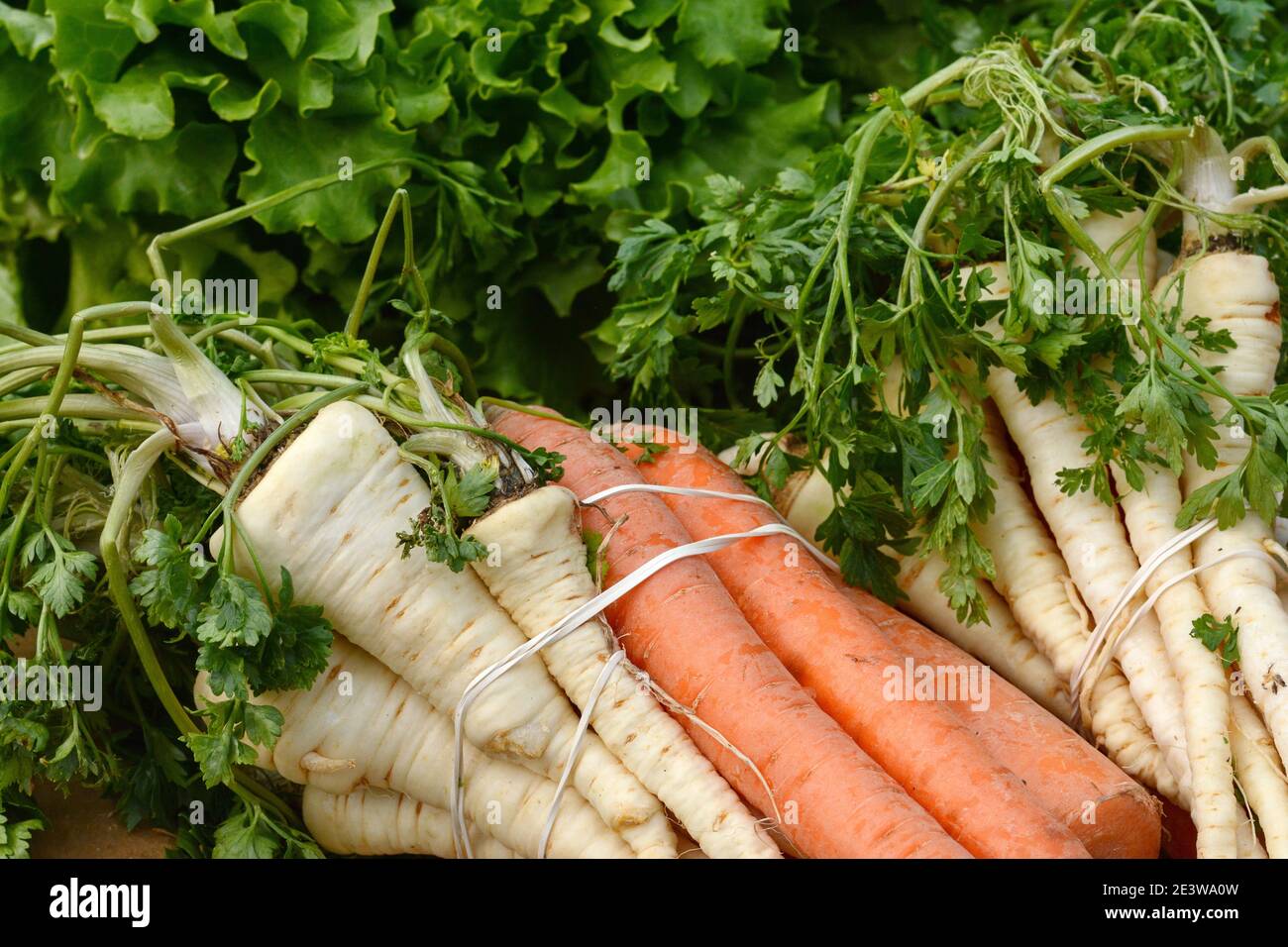Fresco, pastinache e carote al mercato settimanale. Un mazzo di carote e pastinaca. Telaio completo di verdure. Foto Stock