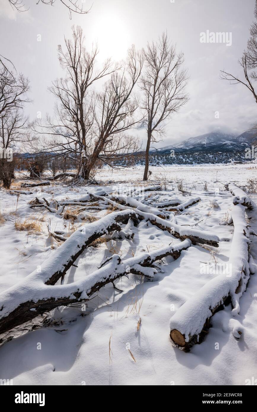 Sgombrare i cieli delle tempeste; neve fresca sui pascoli; ranch centrale del Colorado; Salida; USA Foto Stock