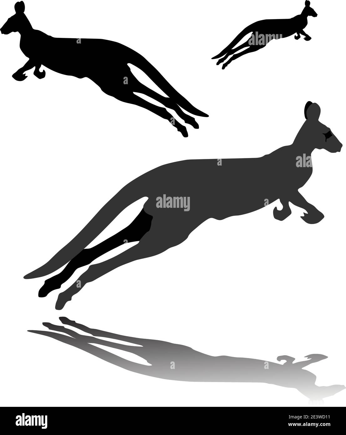 Vettore di silhouette Kangaroo Illustrazione Vettoriale