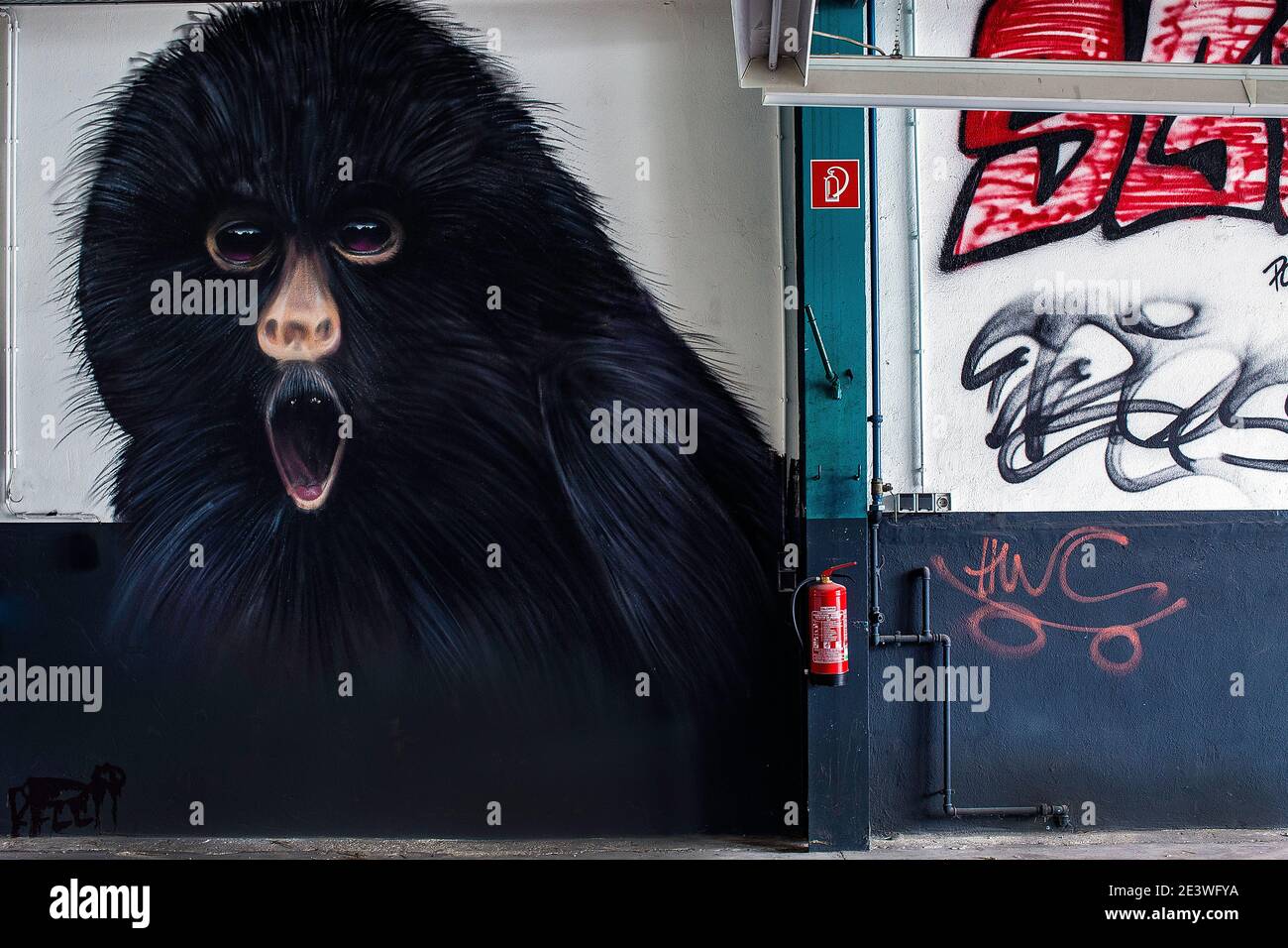 Hairy Monkey Murale Graffiti Foto Stock Hairy Monkey Murale Graffiti Foto Stock