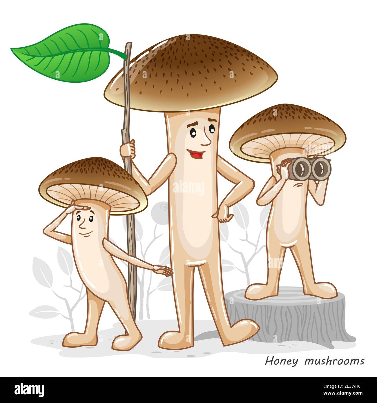 Funghi vettoriali isolati su bianco. Disegno divertente del carattere in uno stile del cartone animato. Champignon di funghi commestibili. Stampa per abiti per bambini Illustrazione Vettoriale