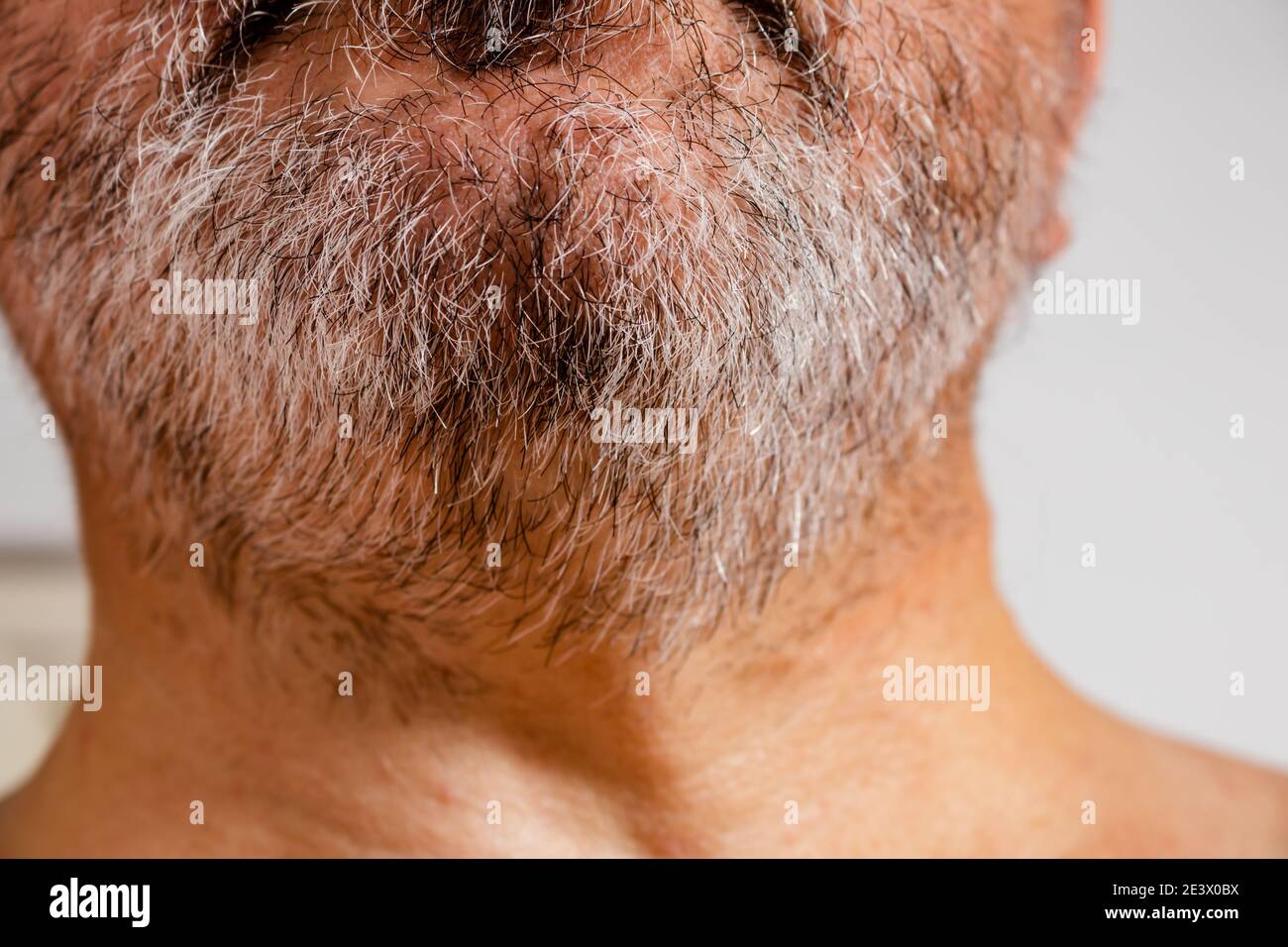Barba bianca, grigia e nera con acrobazie di un uomo di mezza età. Sfondo bianco. Foto Stock