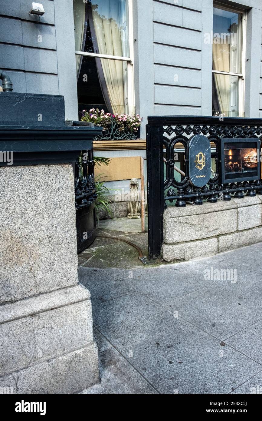 La statua del cane è stravagante all'ingresso del cocktail bar nascosto, 9 sotto, vicino a St. Stephens Green, Dublino, Irlanda Foto Stock