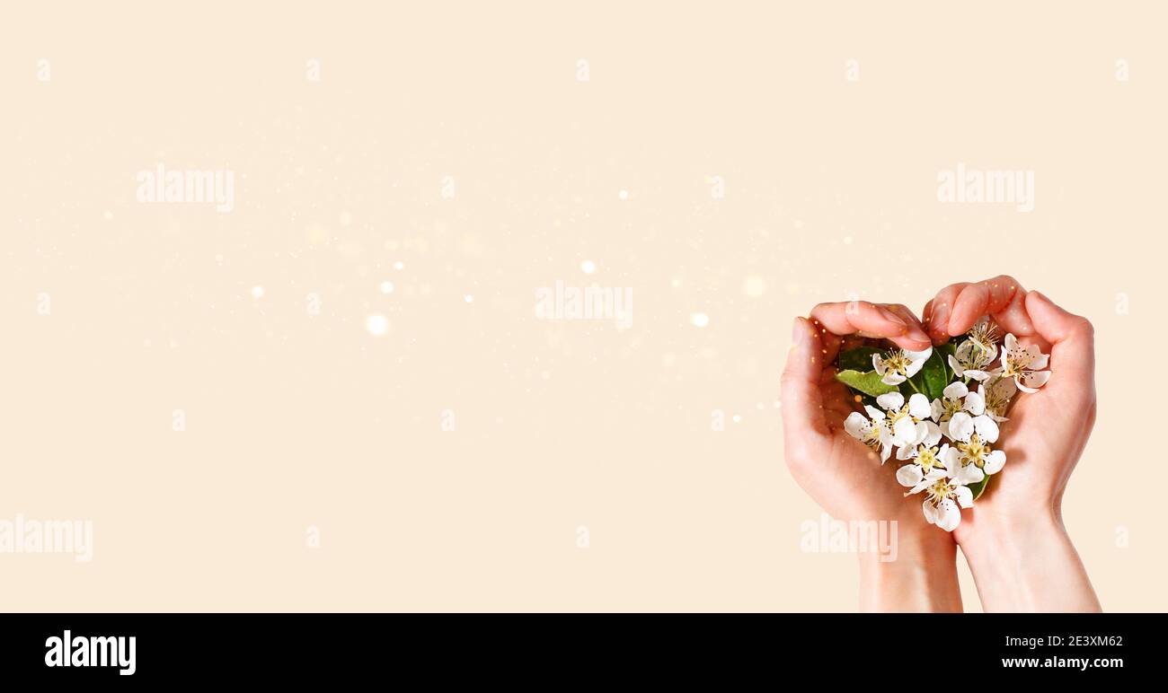 Mani da donna con palme a forma di cuore e fiori di mela bianca su sfondo rosa champagne. Primavera, amore, tenerezza. Cura della pelle, cosme naturale Foto Stock