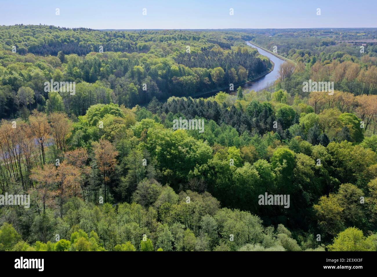 Wald von oben, Luftaufnahme, Laubwald, Mischwald, Elbe-Lübeck-Kanal, Kanal, legno, foresta, Germania, Norddeutschland, Schleswig-Holstein, Germania Foto Stock