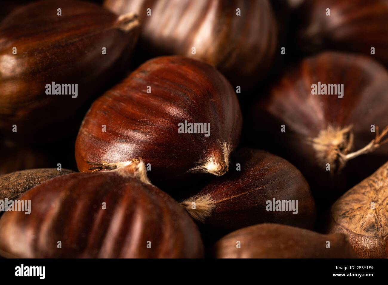 Un mucchio di castagne dolci appena raccolte su sfondo scuro. angolo di visualizzazione di 45 gradi, macro shot full frame. Foto Stock