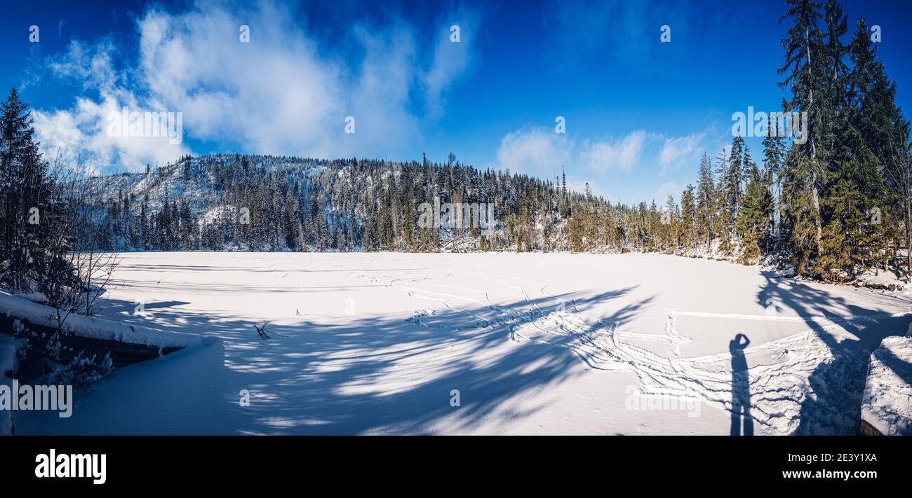 Sumava National Park è uno dei quattro parchi nazionali in Cechia. Esso si trova in due regioni meridionali creare un confine naturale tra la Repubblica Ceca Foto Stock