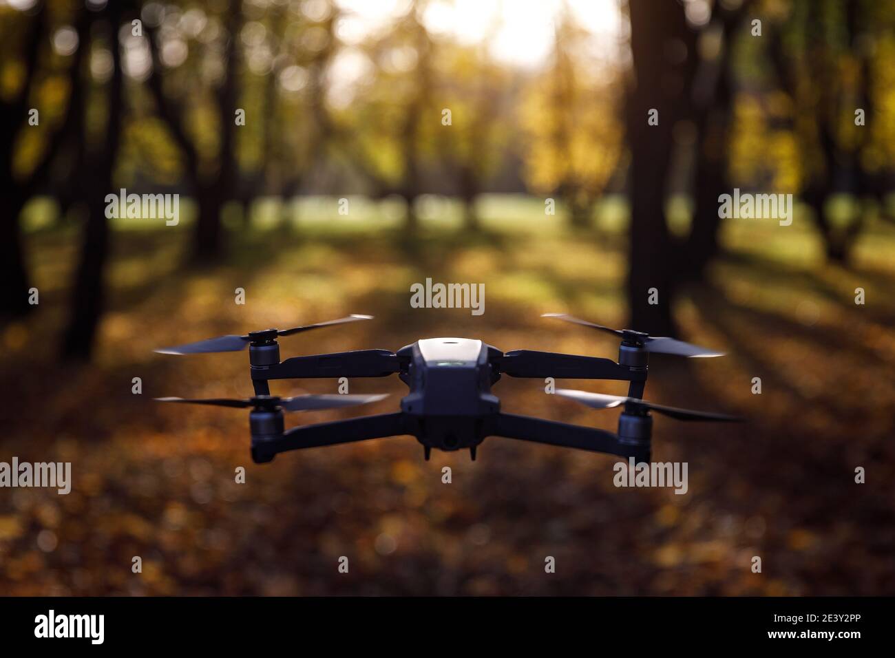 Con un drone in autunno. Volare attraverso il parco Foto Stock