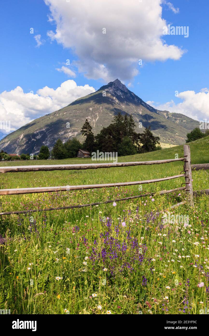 Estate Prato di fiori selvatici alpini nella verde valle con la montagna al di là del Tirolo austriaco. Imst Austria Europa Foto Stock