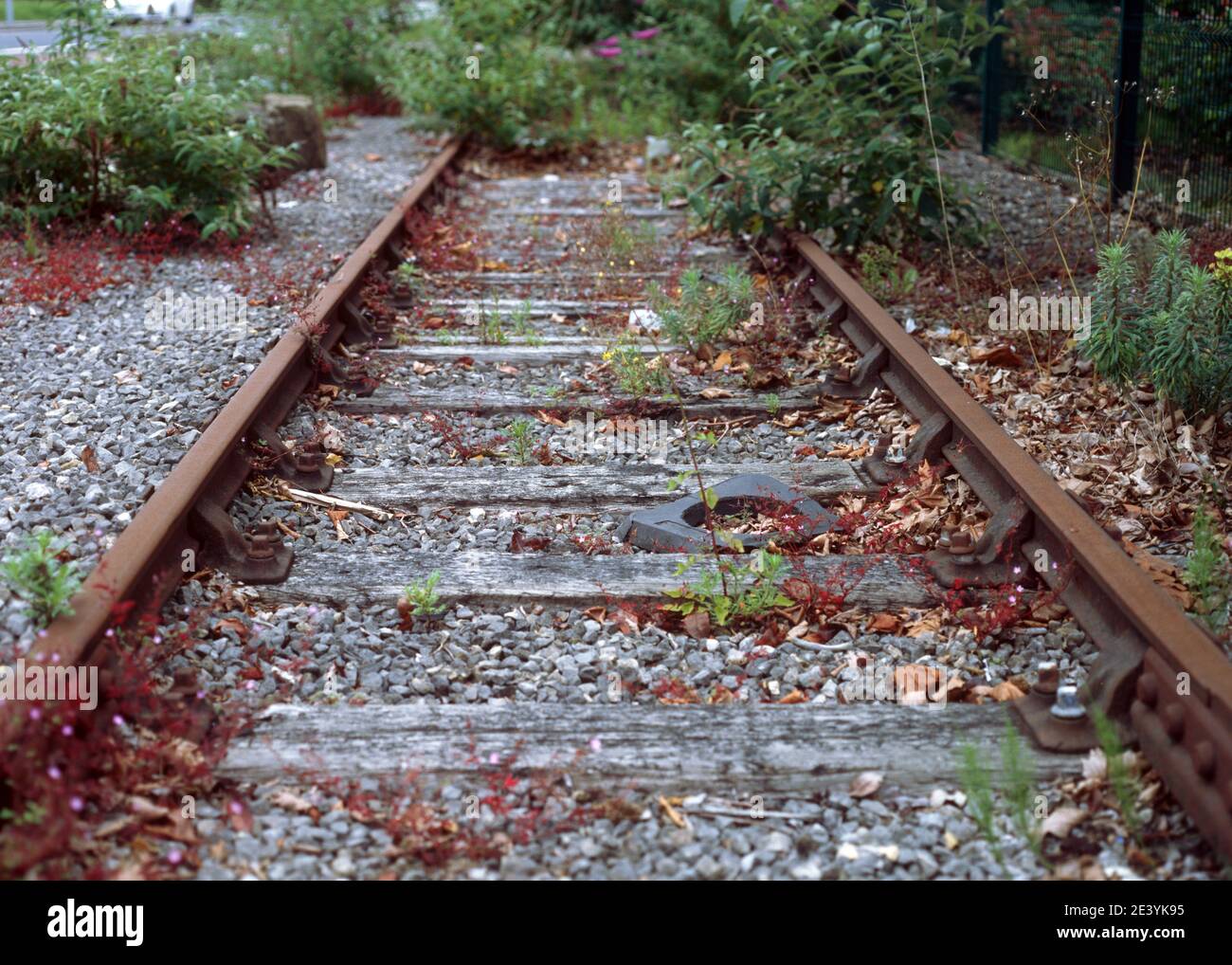 Ferrovia in disuso a Trafford Park Foto Stock