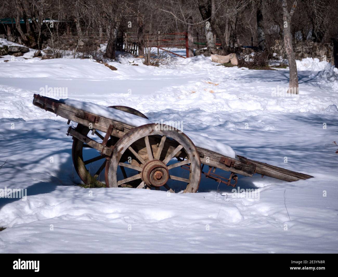Vecchio carrello di legno sdraiato nella neve. Foto Stock